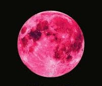 🍓 Strawberry Full Moon in Sagittarius. A Sweet Reckoning in Flames