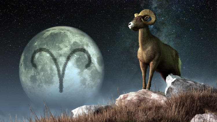 Legacy, Limits & Lunar Truths 🌕