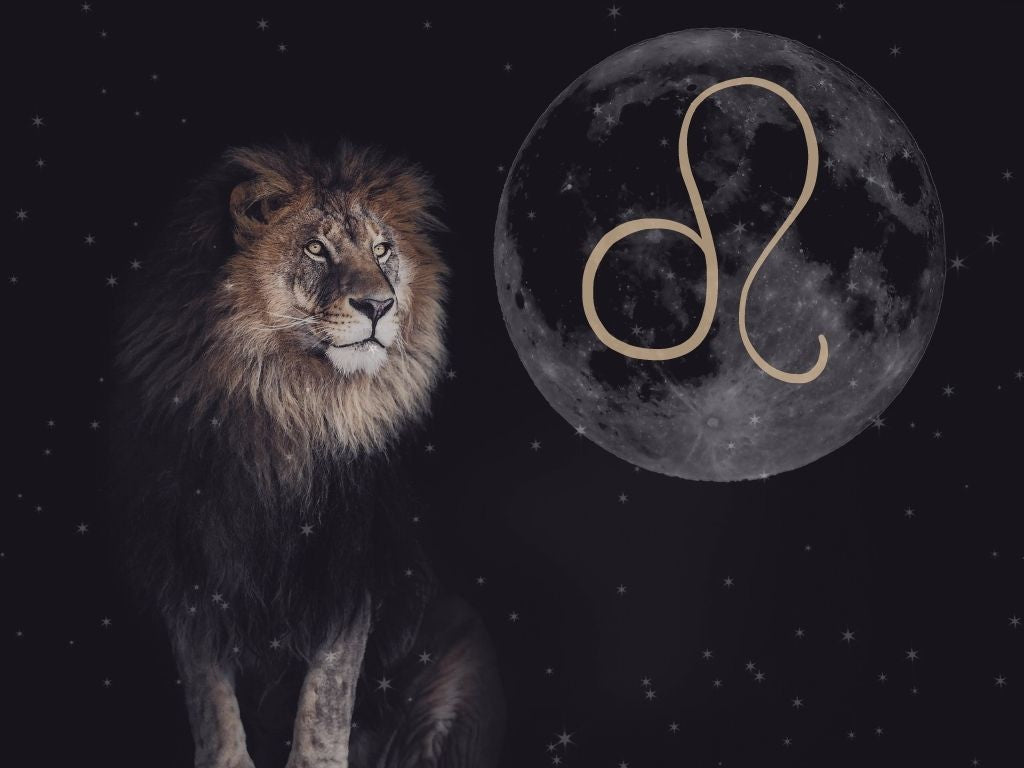 🌑 New Moon in Leo: A Sacred Invitation to Be Fully Seen